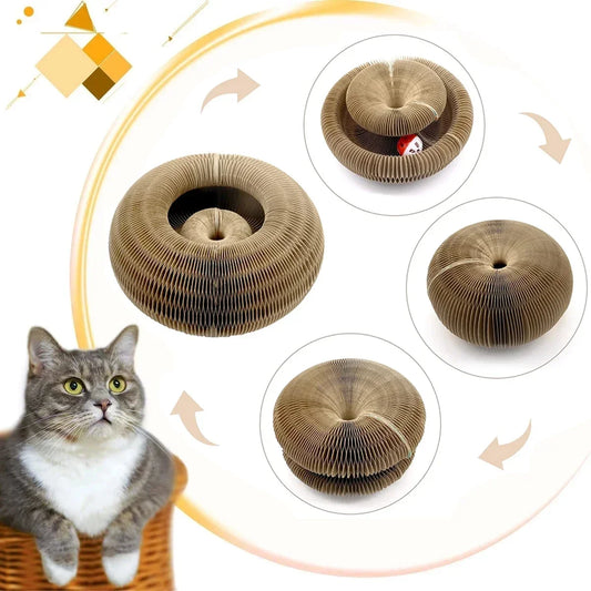 FlexiScratch 2-in-1 Magic Cat Scratcher & Ball Toy DAICHANG You Home Official Store