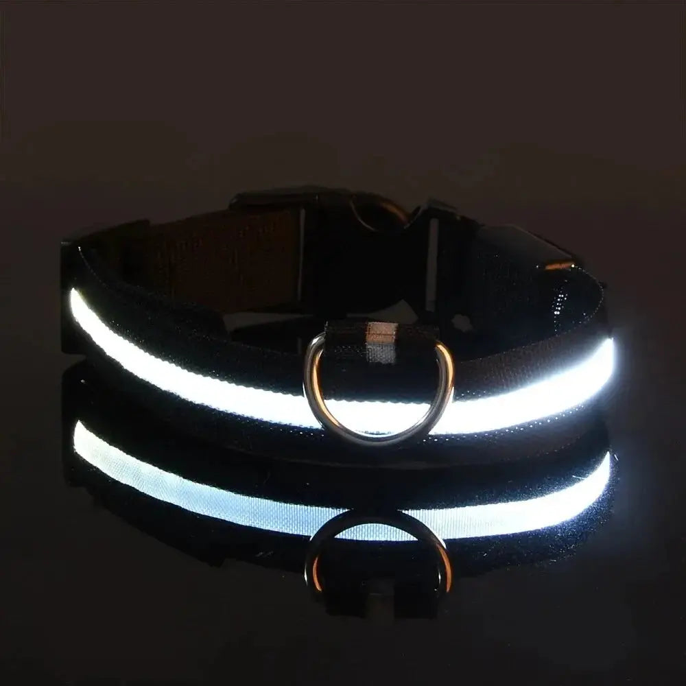 LED Dog Collar – USB Rechargeable Waterproof Light for Night Safety | Glow Collar for Dogs & Cats YUEYUEGOU Store