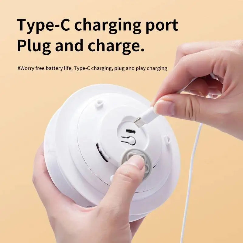 HideN’Flap - Interactive Smart Feather Toy for Bored Cats - YNOM cornerstore