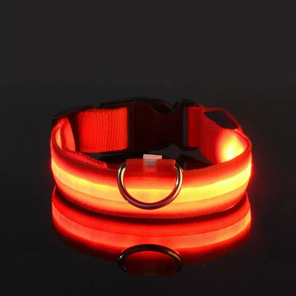 LED Dog Collar – USB Rechargeable Waterproof Light for Night Safety | Glow Collar for Dogs & Cats YUEYUEGOU Store