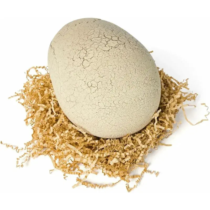 RoboHatch Hatching Dinosaur Egg Toy | Interactive Robot with Lights & Sounds Yudexuanbaihuo Store