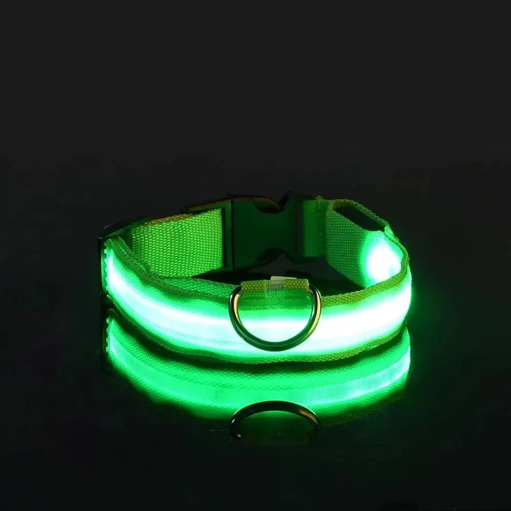 LED Dog Collar – USB Rechargeable Waterproof Light for Night Safety | Glow Collar for Dogs & Cats YUEYUEGOU Store