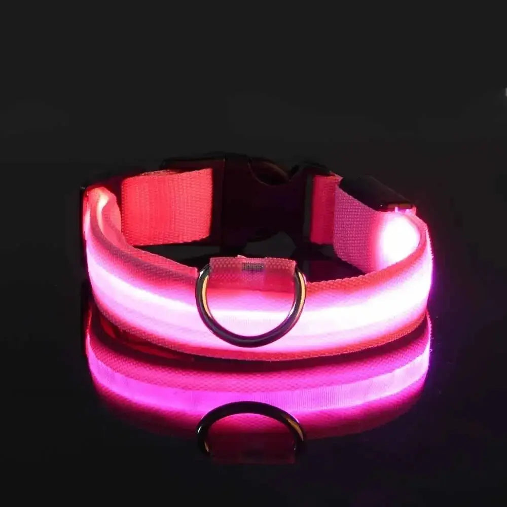 LED Dog Collar – USB Rechargeable Waterproof Light for Night Safety | Glow Collar for Dogs & Cats YUEYUEGOU Store