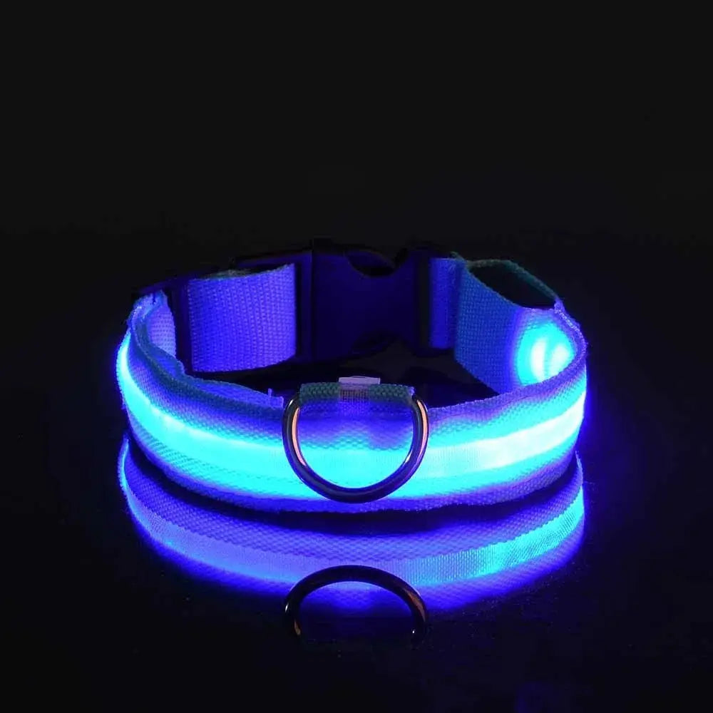 LED Dog Collar – USB Rechargeable Waterproof Light for Night Safety | Glow Collar for Dogs & Cats YUEYUEGOU Store