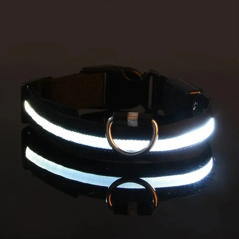 LED Dog Collar – USB Rechargeable Waterproof Light for Night Safety | Glow Collar for Dogs & Cats YUEYUEGOU Store