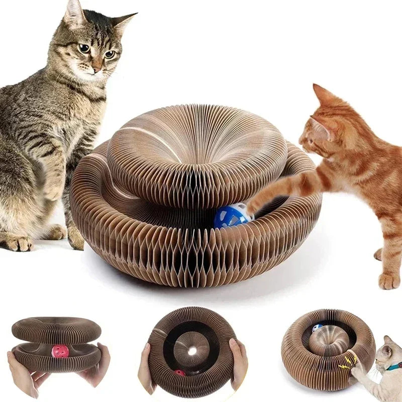 FlexiScratch 2-in-1 Magic Cat Scratcher & Ball Toy DAICHANG You Home Official Store