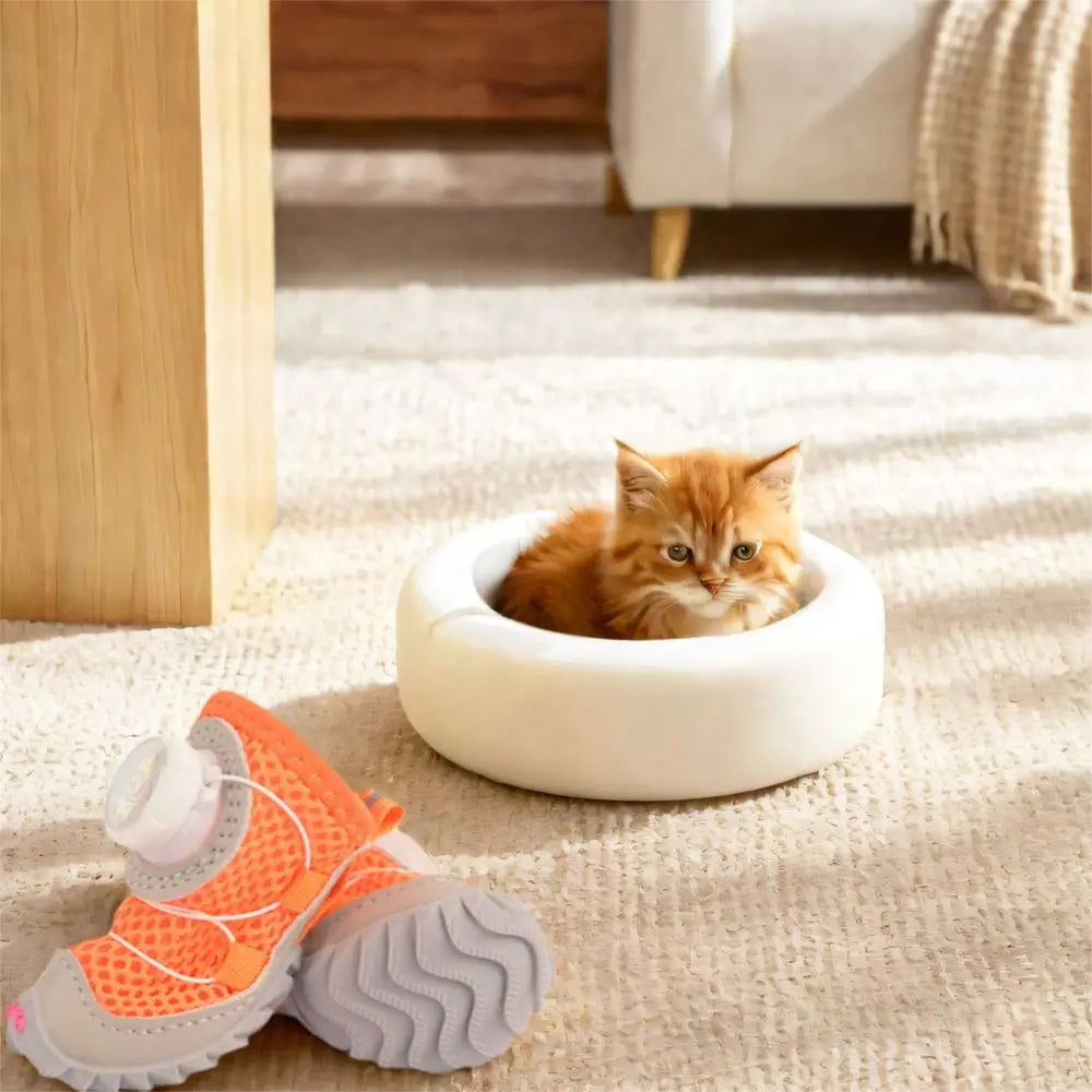 The PawGuard All-Weather Dog Boots | Anti-Slip & Paw Protection - YNOM cornerstore