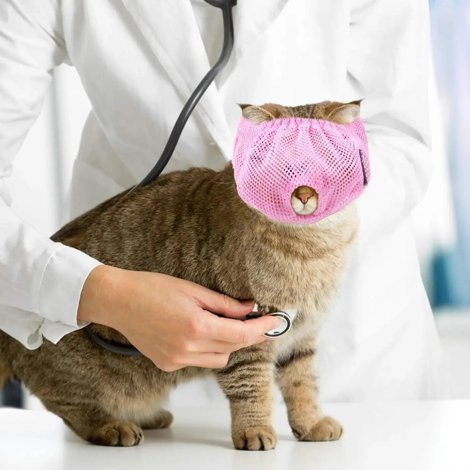 Breathable Cat Muzzle – Stress-Free Grooming & Vet Visits | Soft Adjustable Mesh Muzzle for Calm, Safe Cats lazyishhouse Official Store