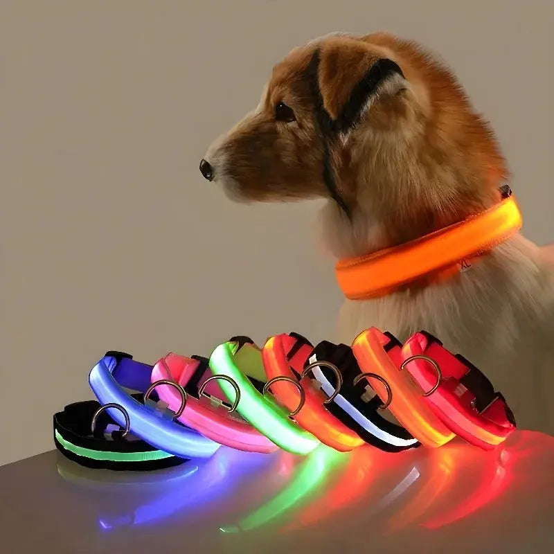 LED Dog Collar – USB Rechargeable Waterproof Light for Night Safety | Glow Collar for Dogs & Cats YUEYUEGOU Store