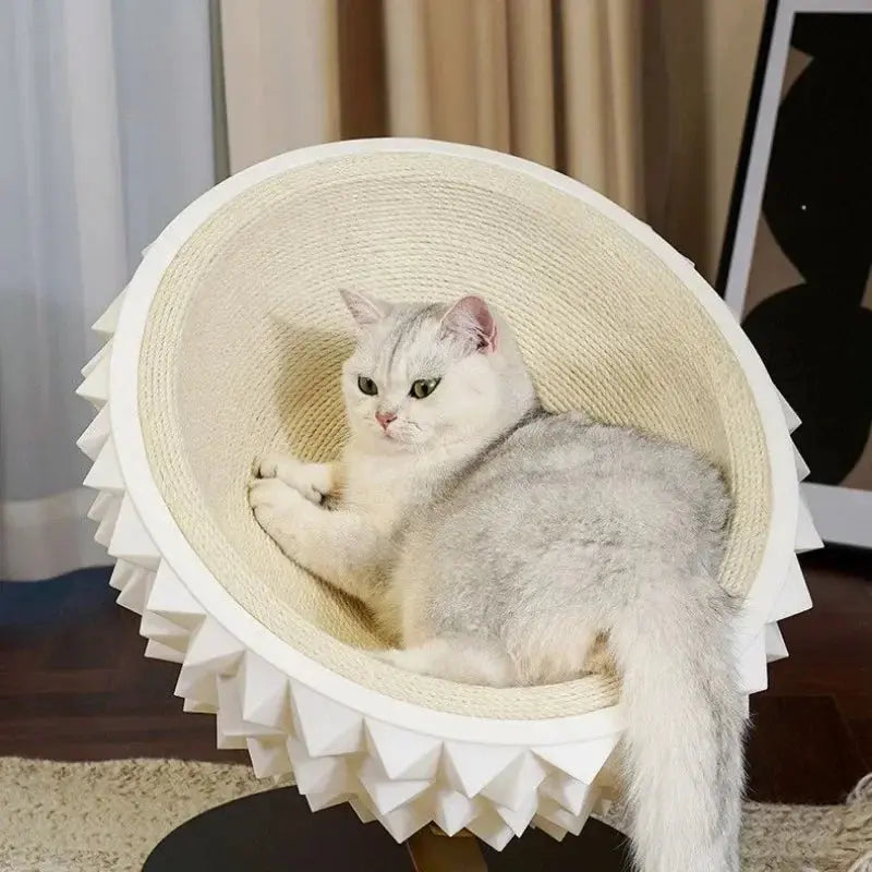Durian Cat Scratcher Bed | A Modern 2-in-1 Scratcher & Cozy Cave Bello Pet House Store