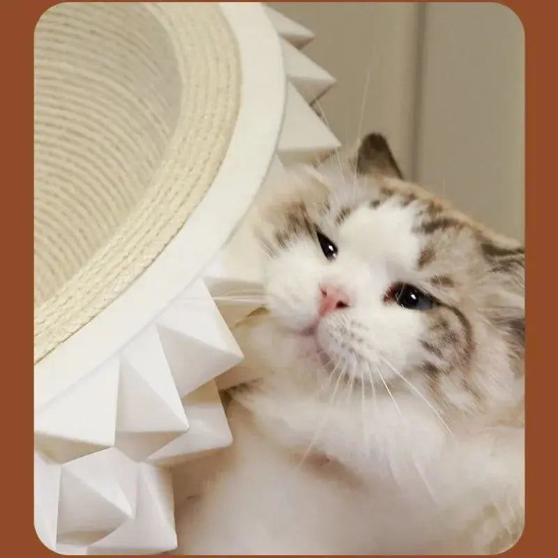 Durian Cat Scratcher Bed | A Modern 2-in-1 Scratcher & Cozy Cave Bello Pet House Store